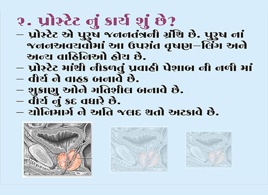 Prostate BPH