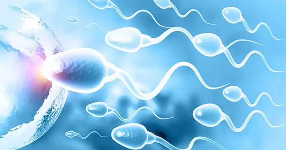 Infertility