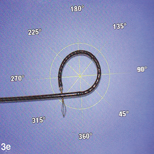 270 Degree Movement